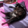 2010-03-04 1er rayon de soleil_l.jpg